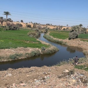 كشفت الدراسة عن مستويات مقلقة من التلوث في قنوات الري&nbsp;